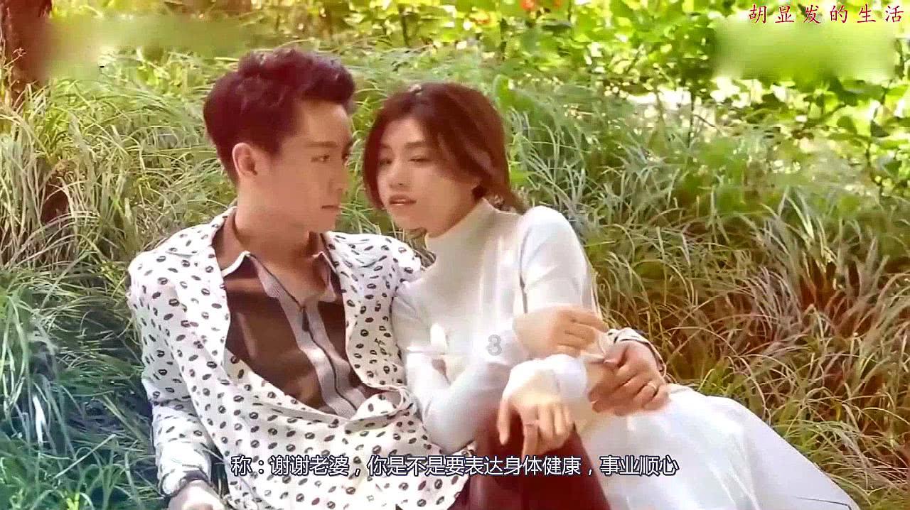 变异动物之战